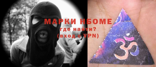 индика Елизово