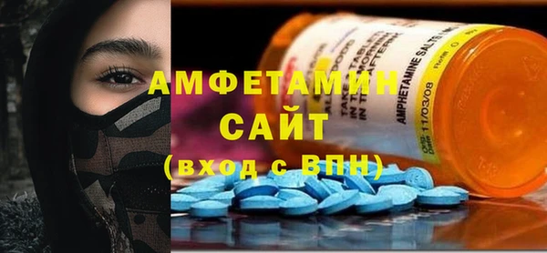 индика Елизово
