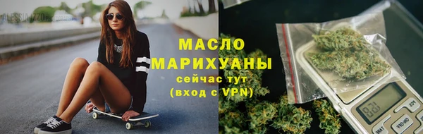 индика Елизово