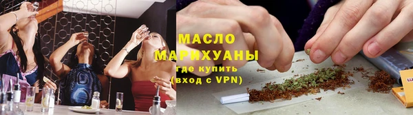 индика Елизово