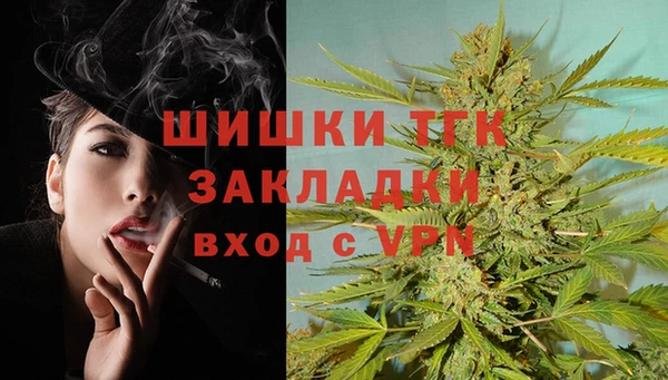 винт Елабуга