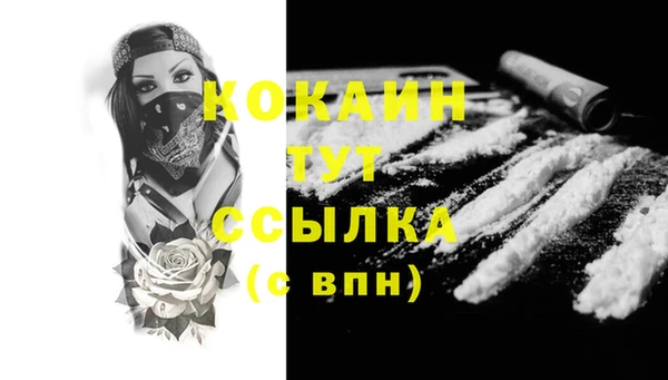 индика Елизово