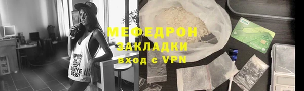 индика Елизово