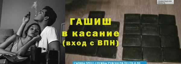 индика Елизово