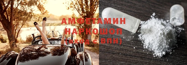 индика Елизово