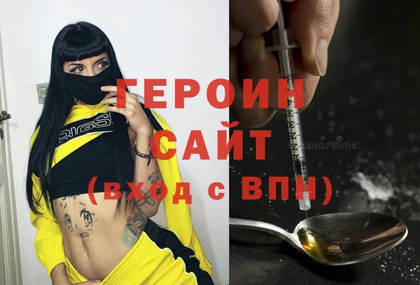 индика Елизово