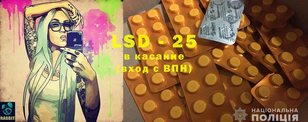 индика Елизово