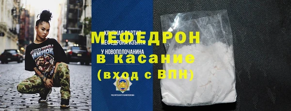 индика Елизово