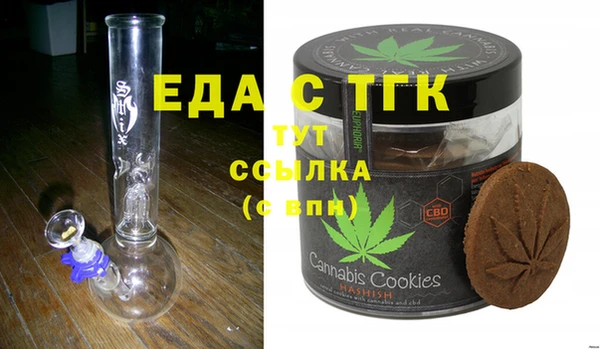 индика Елизово