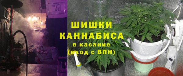 индика Елизово