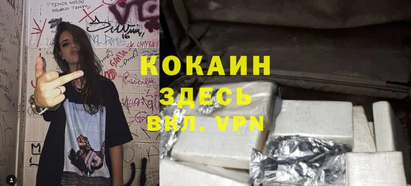 индика Елизово